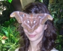 Atlas moth