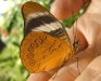 Procilla Beauty
