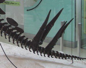 Thagomizer 09-10-30 (29)